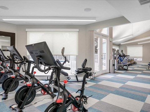 a group of bikes in a gym with a row of windows